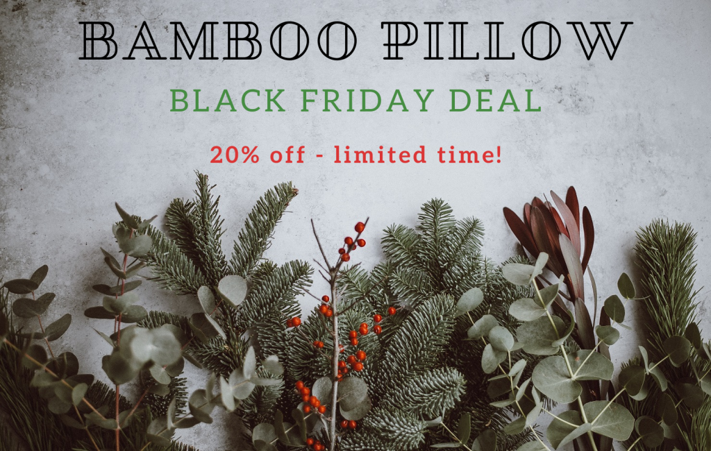 Bamboo Pillow Black Friday discount